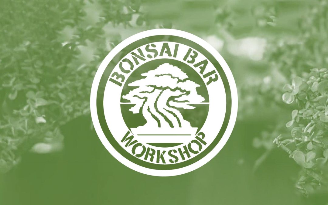 Bonsai Bar Workshop