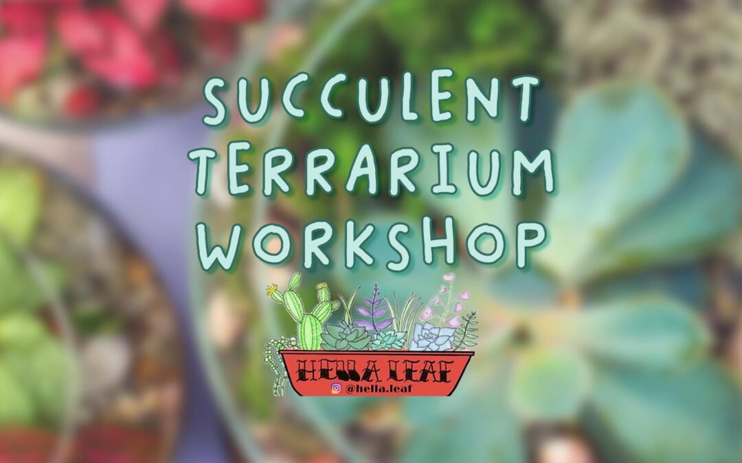 Succulent Terrarium Workshop