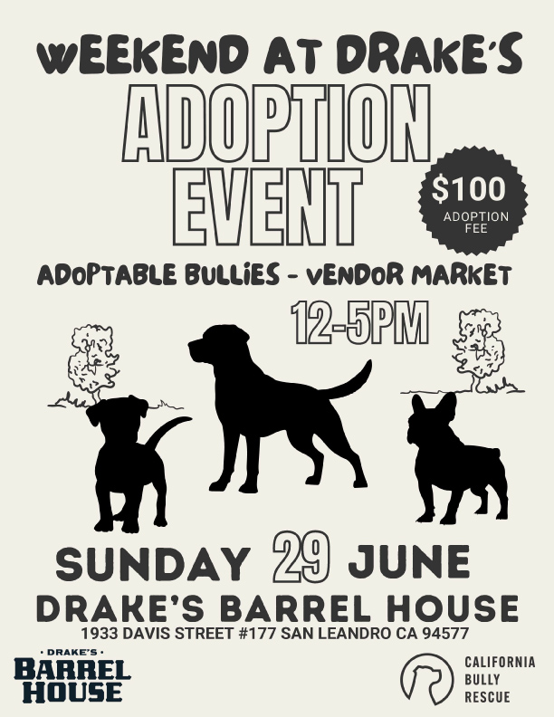 Weekend At Drake's Adoption Event on Sunday, June 29th 12-5pm at Drake's Barrel House
