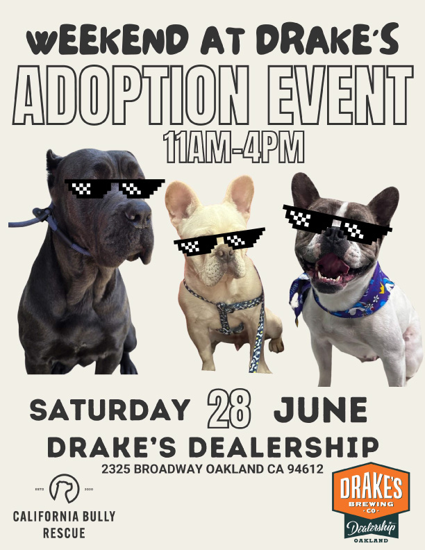Weekend At Drake's Adoption Event on Saturday, June 28th 11am-4pm at Drake's Dealership