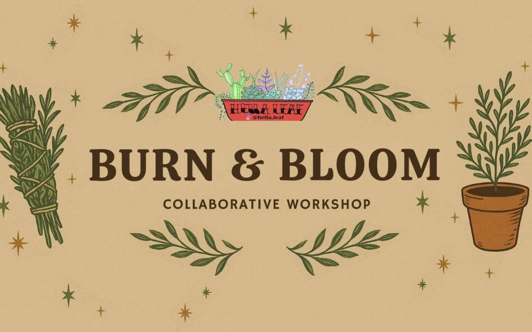 Burn & Bloom