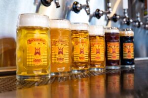 Flocktoberfest beer steins