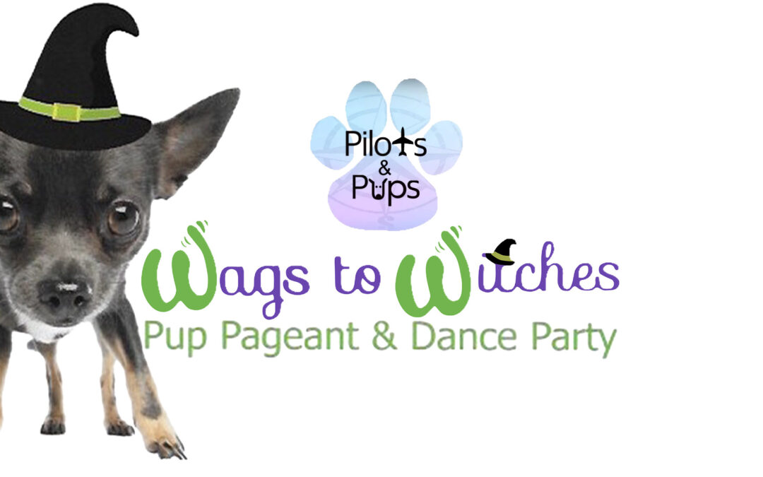 Wags To Witches