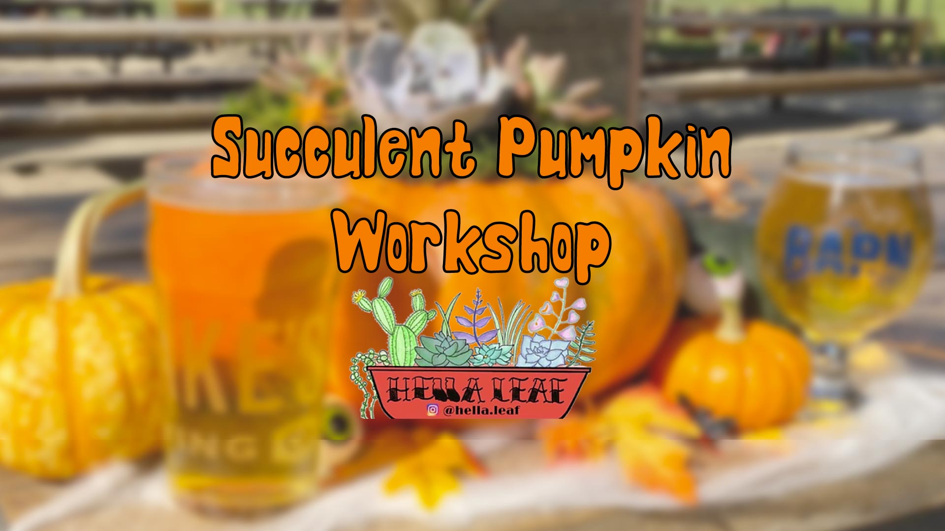 Hella Leaf Succulent Pumpkin Workshop