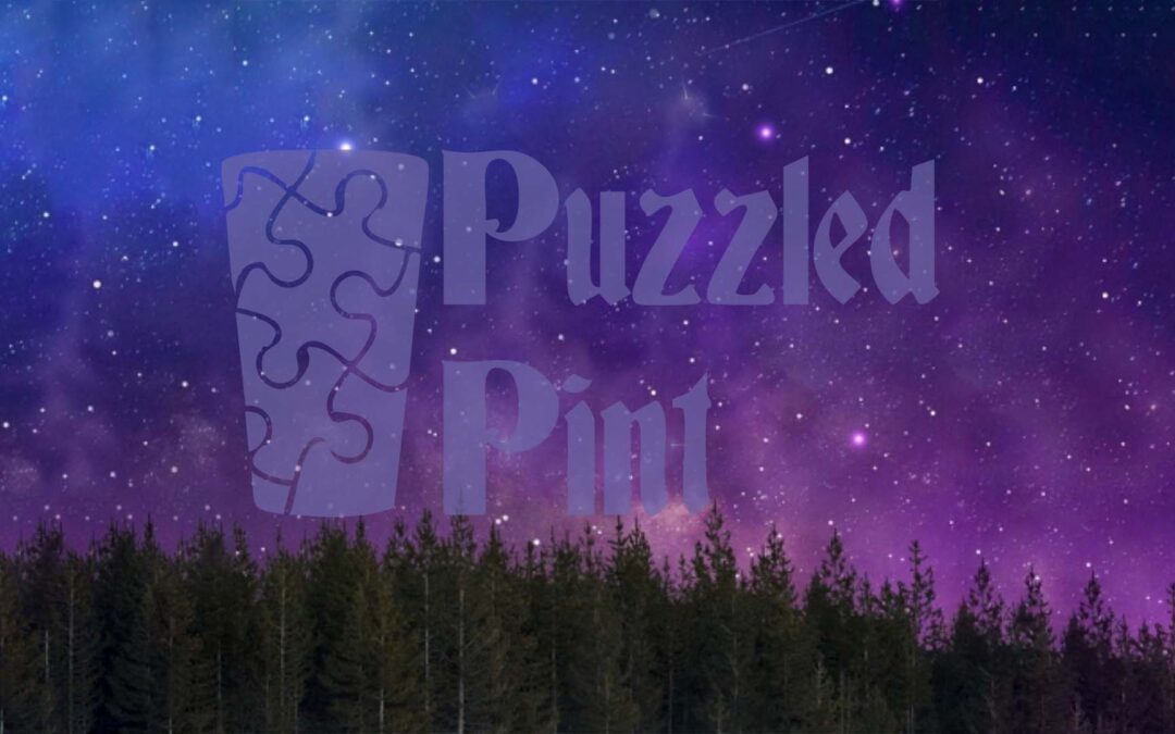 Puzzled Pint