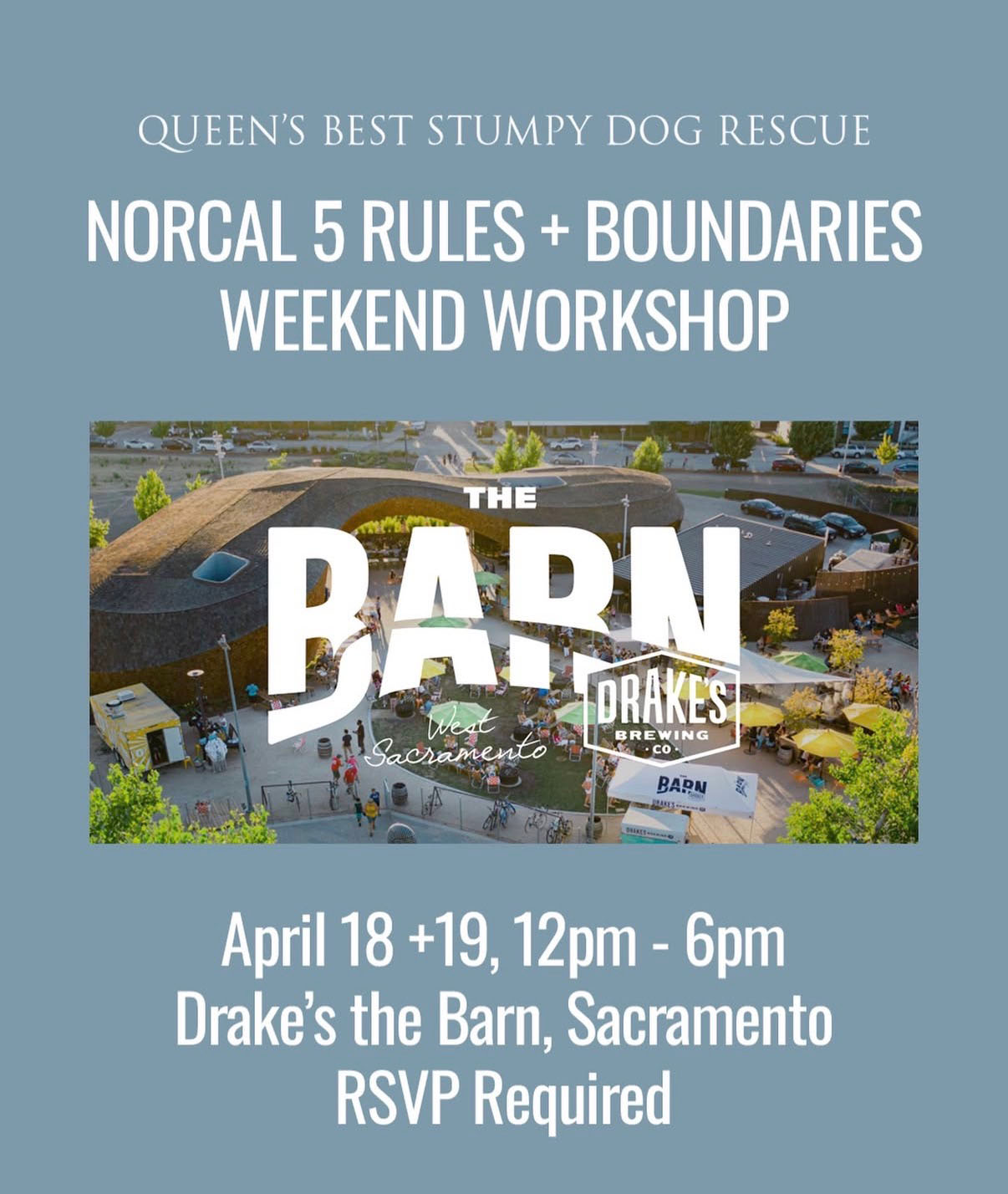 Queen's Best Stumpy Dog Rescue NorCal 5 Rules and Boundaries Weekend Workshop Corgi Training Workshop April 18th-19th at Drake's: The Barn